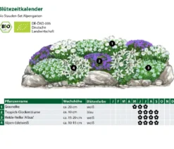 Bio Stauden-Set Alpengarten, 12-teilig