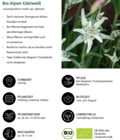 Bio Stauden-Set Alpengarten, 12-teilig
