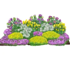 Bio Stauden-Set Alpenliebe, Landlust Kollektion, 18-teilig