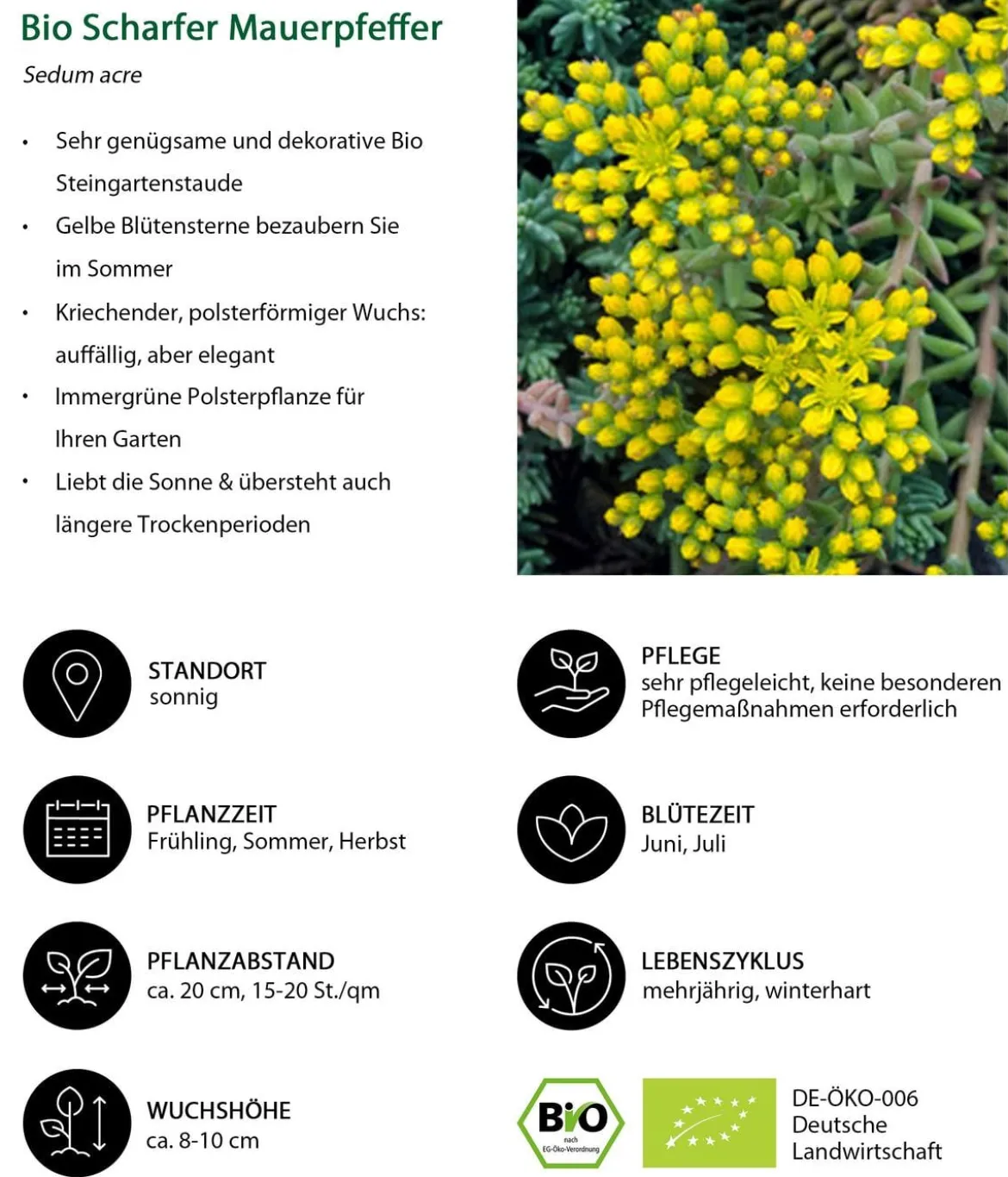 Bio Stauden-Set Alpenliebe, Landlust Kollektion, 18-teilig