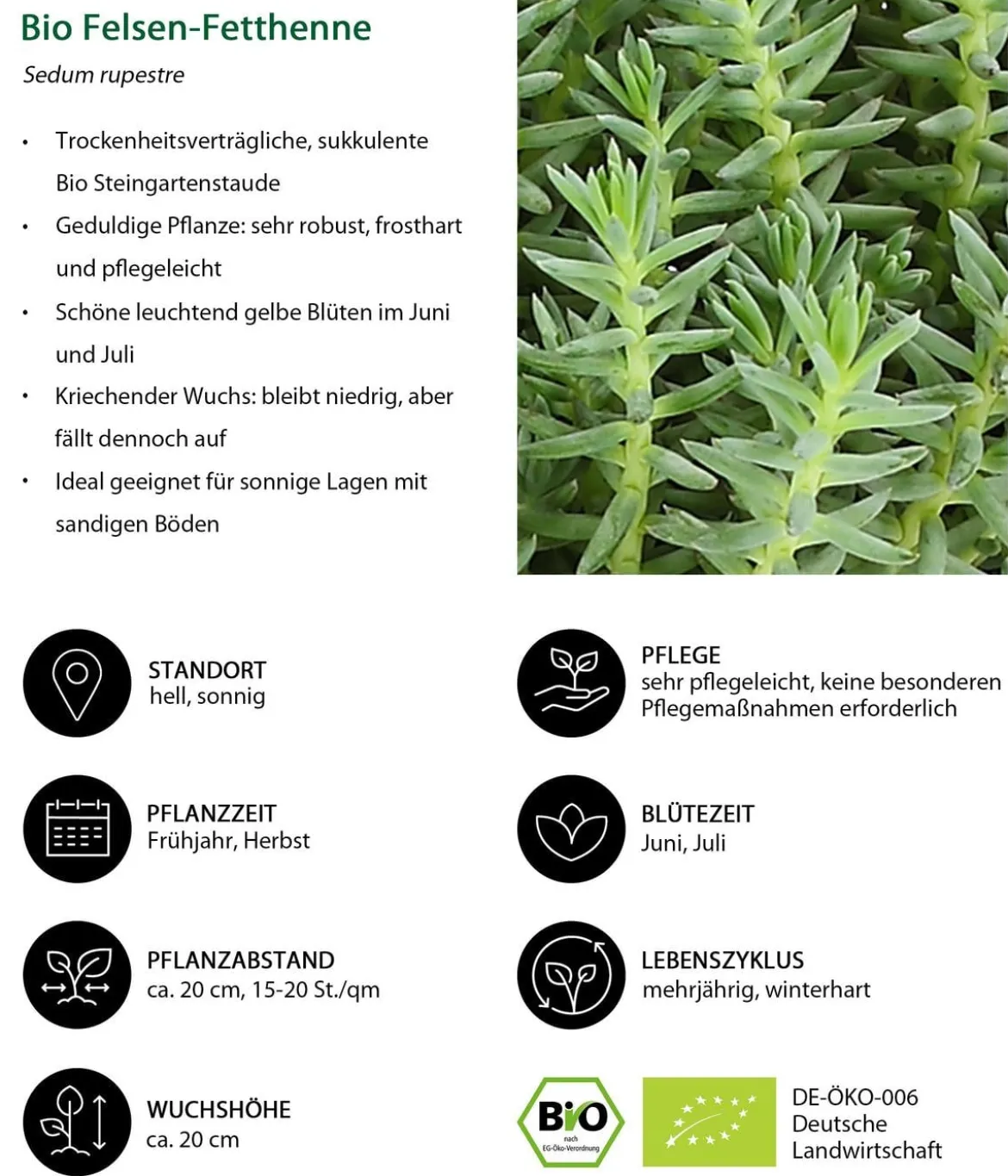 Bio Stauden-Set Alpenliebe, Landlust Kollektion, 18-teilig