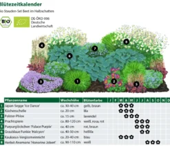 Bio Stauden-Set Beet im Halbschatten, 24-teilig