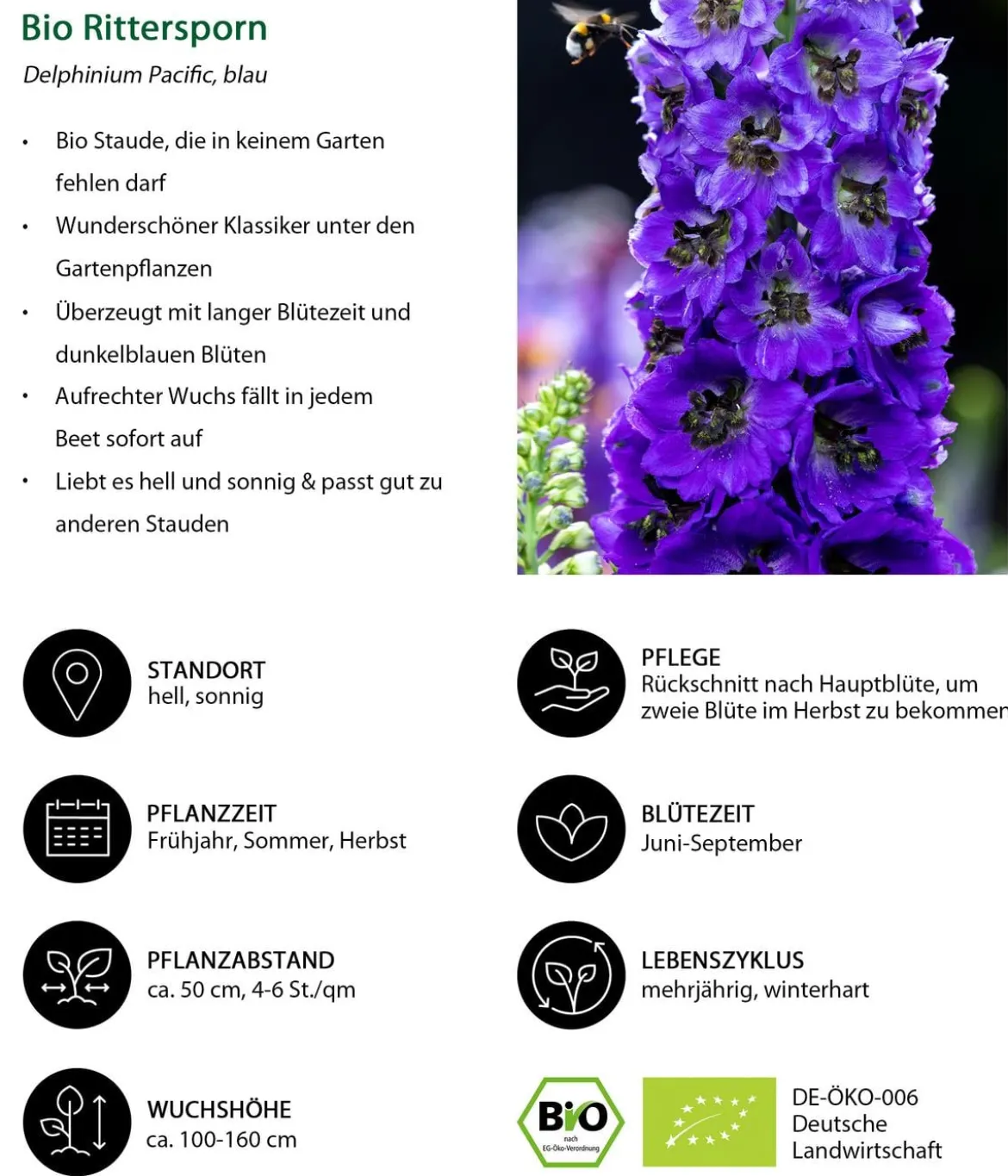 Bio Stauden-Set Blaue Stunde, Landlust Kollektion, 24-teilig