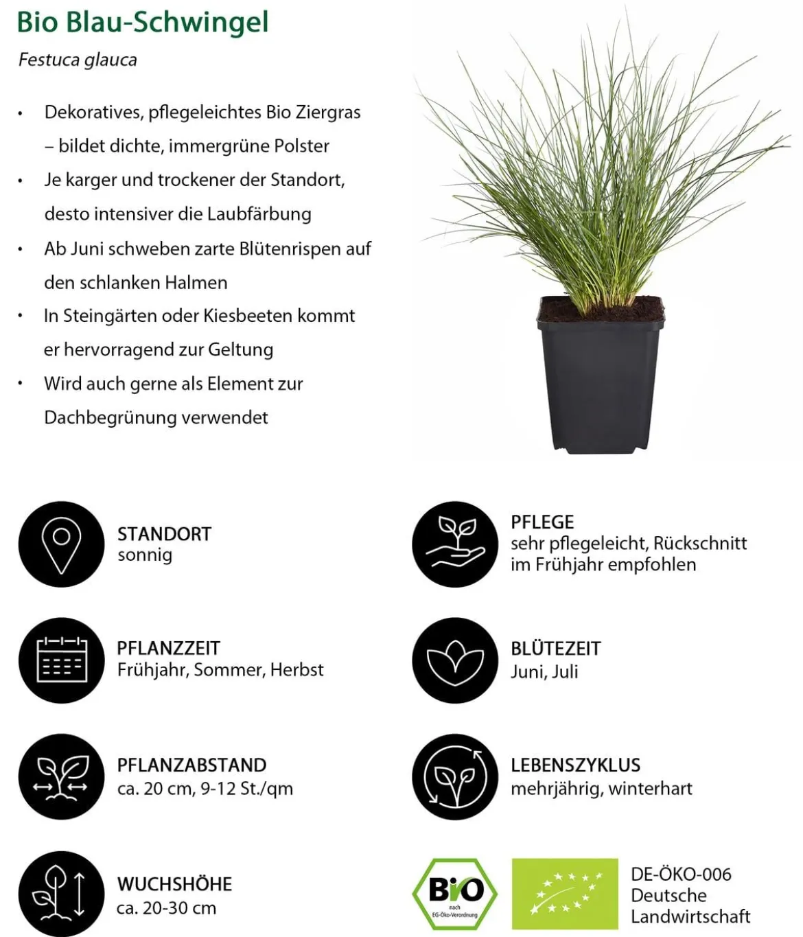 Bio Stauden-Set Blaue Stunde, Landlust Kollektion, 24-teilig