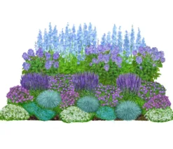 Bio Stauden-Set Blaue Stunde, Landlust Kollektion, 24-teilig