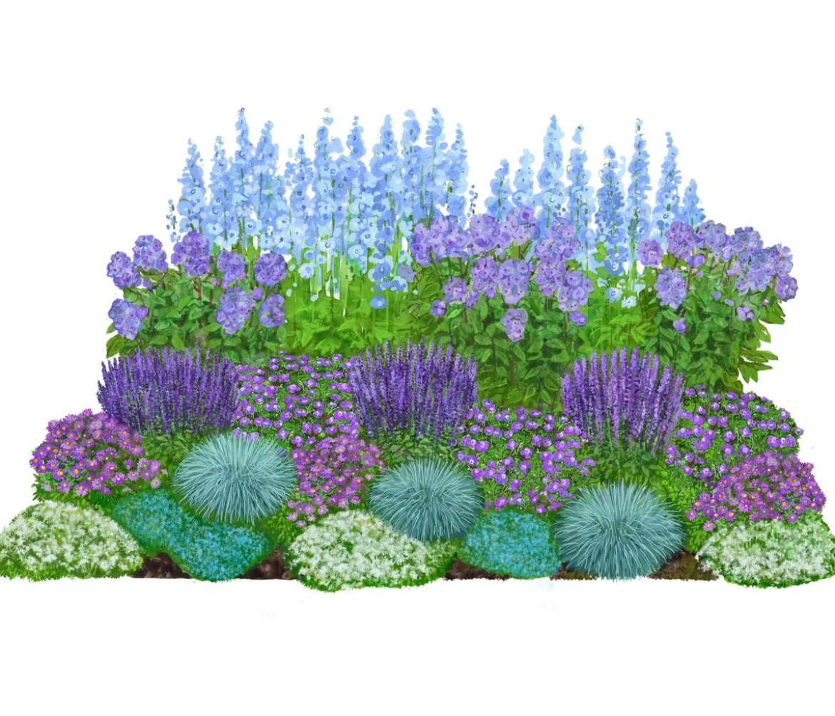 Bio Stauden-Set Blaue Stunde, Landlust Kollektion, 24-teilig