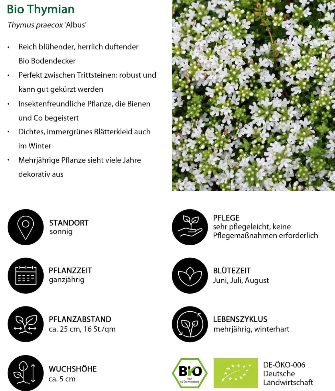 Bio Stauden-Set Blaue Stunde, Landlust Kollektion, 24-teilig
