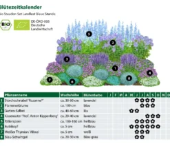Bio Stauden-Set Blaue Stunde, Landlust Kollektion, 24-teilig
