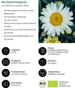 Bio Stauden-Set Bunter Landhausgarten, 12-teilig