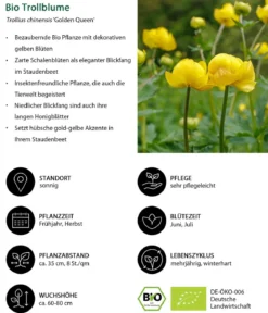 Bio Stauden-Set Einsteiger-Blütenmix, 24-teilig