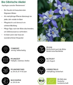 Bio Stauden-Set Einsteiger-Blütenmix, 24-teilig