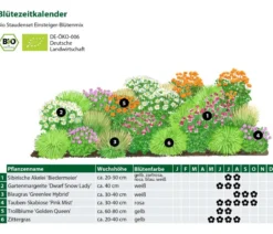 Bio Stauden-Set Einsteiger-Blütenmix, 24-teilig