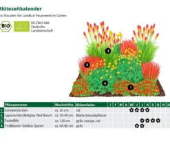 Bio Stauden-Set Feuerwerk im Garten, Landlust Kollektion, 12-teilig
