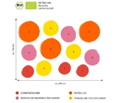 Bio Stauden-Set Feuerwerk im Garten, Landlust Kollektion, 12-teilig