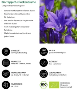 Bio Stauden-Set Großer Alpengarten, 24-teilig