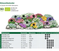 Bio Stauden-Set Großer Alpengarten, 24-teilig