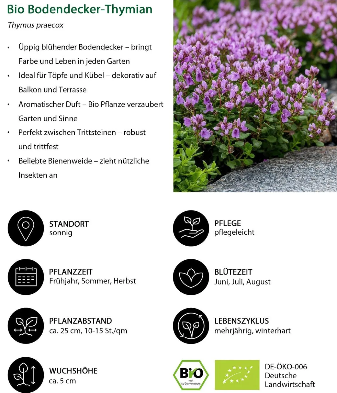 Bio Stauden-Set Großer Alpengarten, 24-teilig