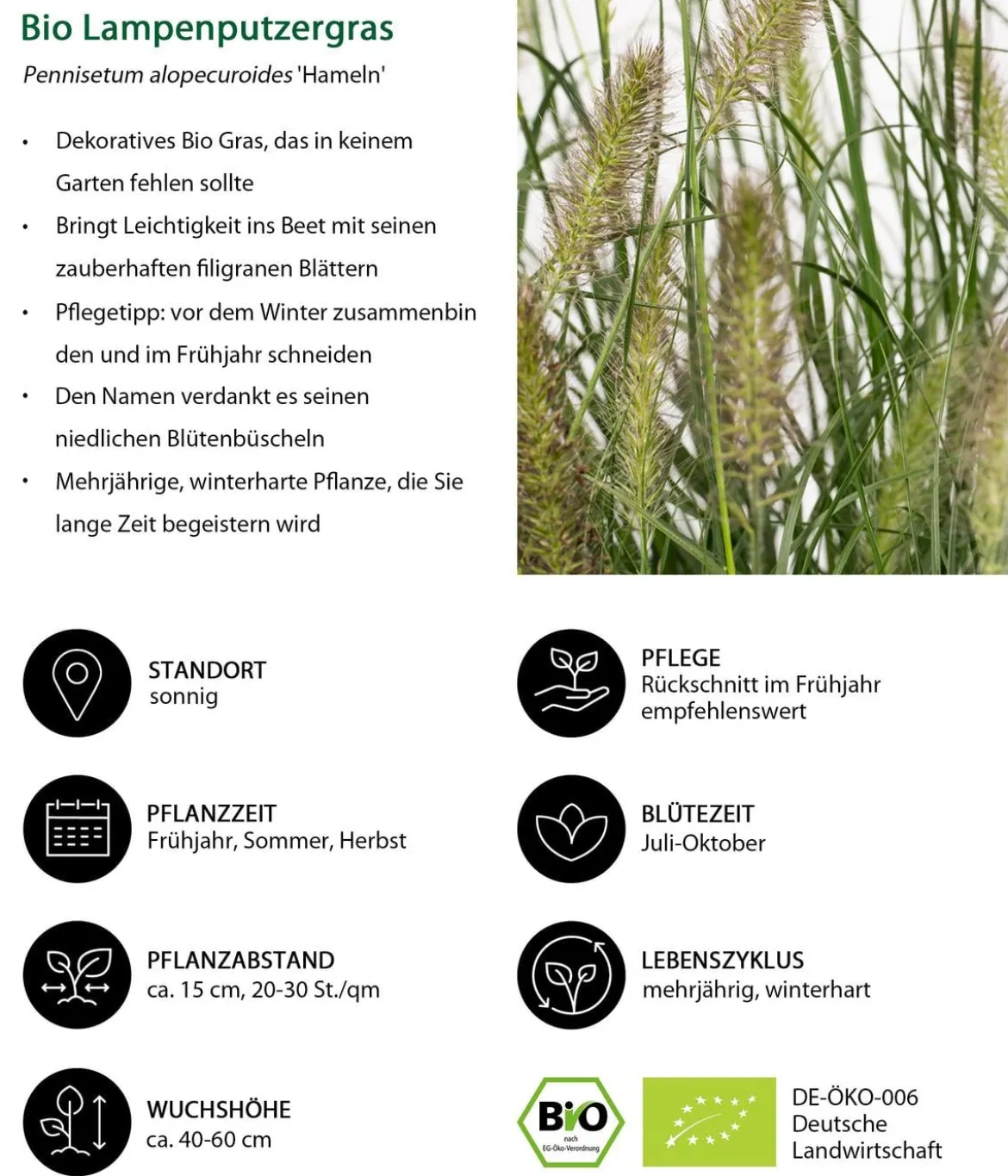 Bio Stauden-Set Großes Gräser-Beet, 24-teilig