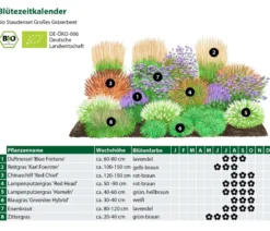 Bio Stauden-Set Großes Gräser-Beet, 24-teilig