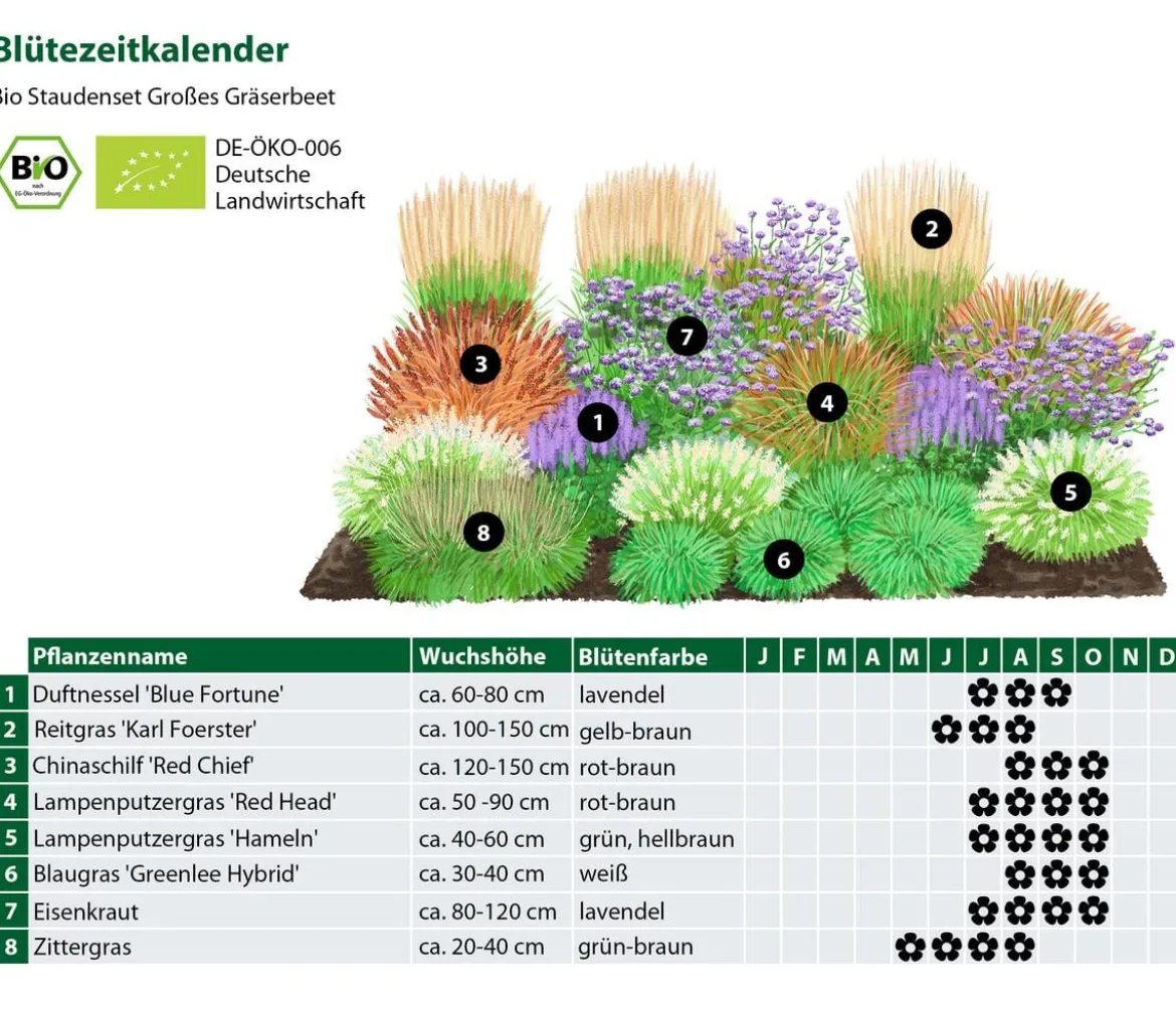 Bio Stauden-Set Großes Gräser-Beet, 24-teilig