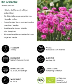 Bio Stauden-Set Heimatgarten, Landlust Kollektion, 24-teilig