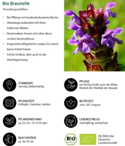 Bio Stauden-Set Heimatgarten, Landlust Kollektion, 24-teilig
