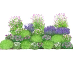Bio Stauden-Set Heimatgarten, Landlust Kollektion, 24-teilig