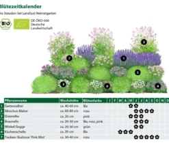 Bio Stauden-Set Heimatgarten, Landlust Kollektion, 24-teilig