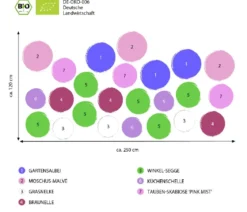 Bio Stauden-Set Heimatgarten, Landlust Kollektion, 24-teilig
