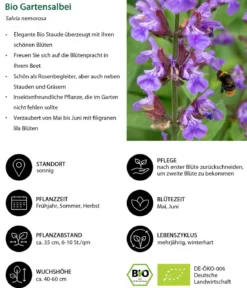 Bio Stauden-Set Heimatgarten, Landlust Kollektion, 24-teilig