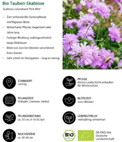 Bio Stauden-Set Heimatgarten, Landlust Kollektion, 24-teilig
