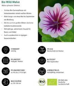 Bio Stauden-Set Landhausgarten, 12-teilig