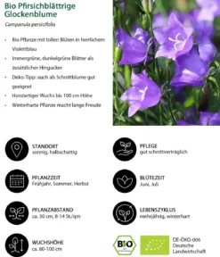 Bio Stauden-Set Landhausgarten, 12-teilig