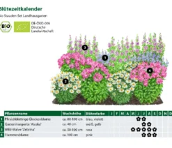Bio Stauden-Set Landhausgarten, 12-teilig