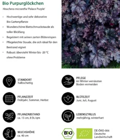 Bio Stauden-Set Lange Blüte, Landlust Kollektion, 18-teilig