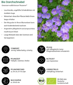 Bio Stauden-Set Lange Blüte, Landlust Kollektion, 18-teilig