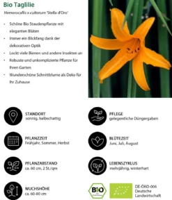 Bio Stauden-Set Lange Blüte, Landlust Kollektion, 18-teilig