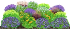 Bio Stauden-Set Lange Blüte, Landlust Kollektion, 18-teilig
