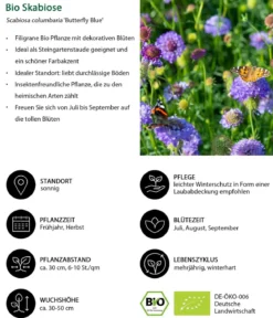 Bio Stauden-Set Lange Blüte, Landlust Kollektion, 18-teilig
