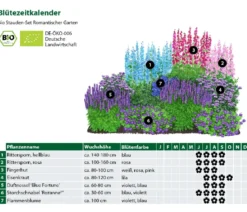 Bio Stauden-Set Romantischer Garten, 12-teilig