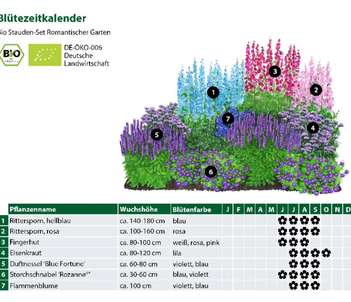 Bio Stauden-Set Romantischer Garten, 12-teilig