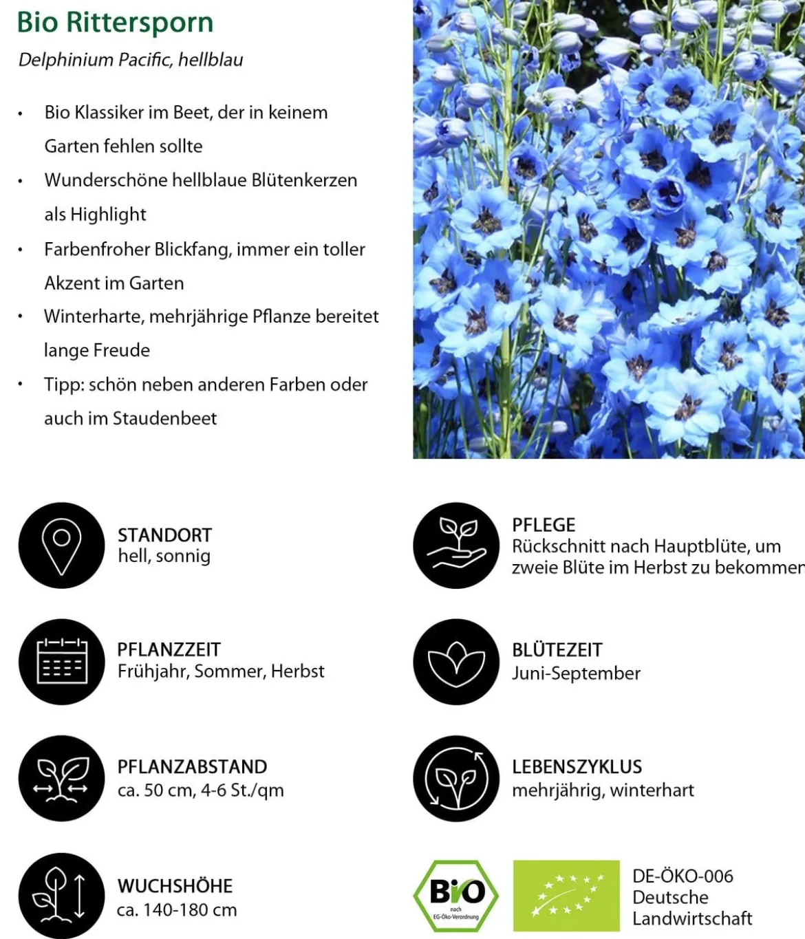 Bio Stauden-Set Romantischer Garten, 12-teilig