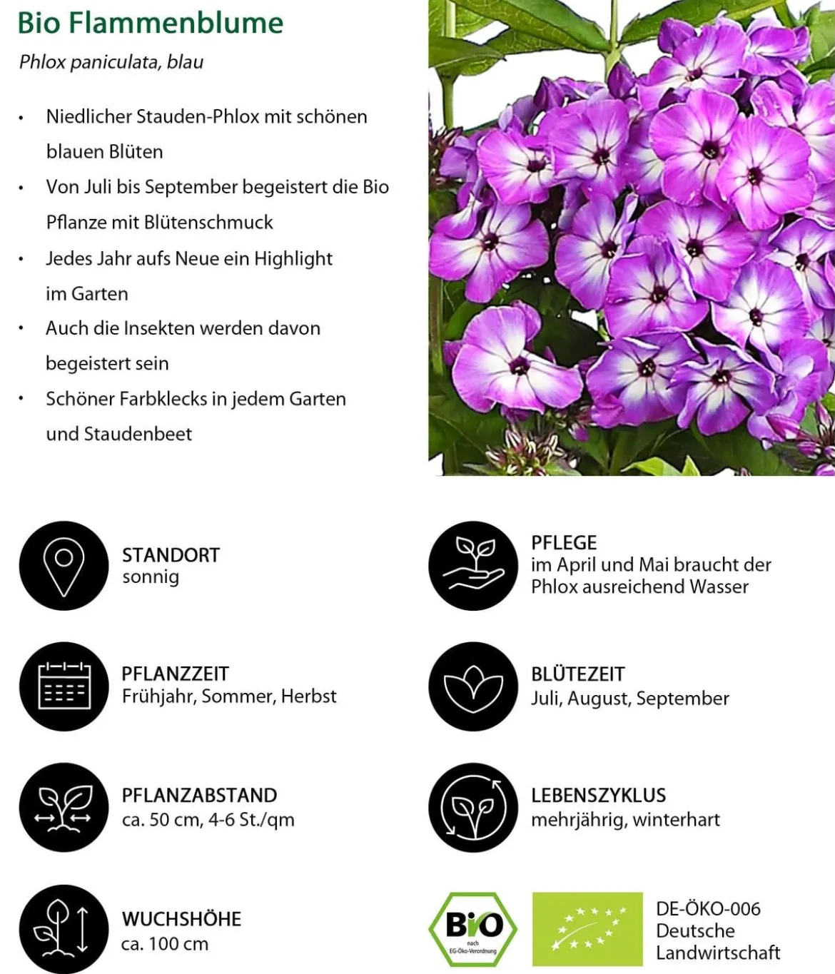 Bio Stauden-Set Romantischer Garten, 12-teilig