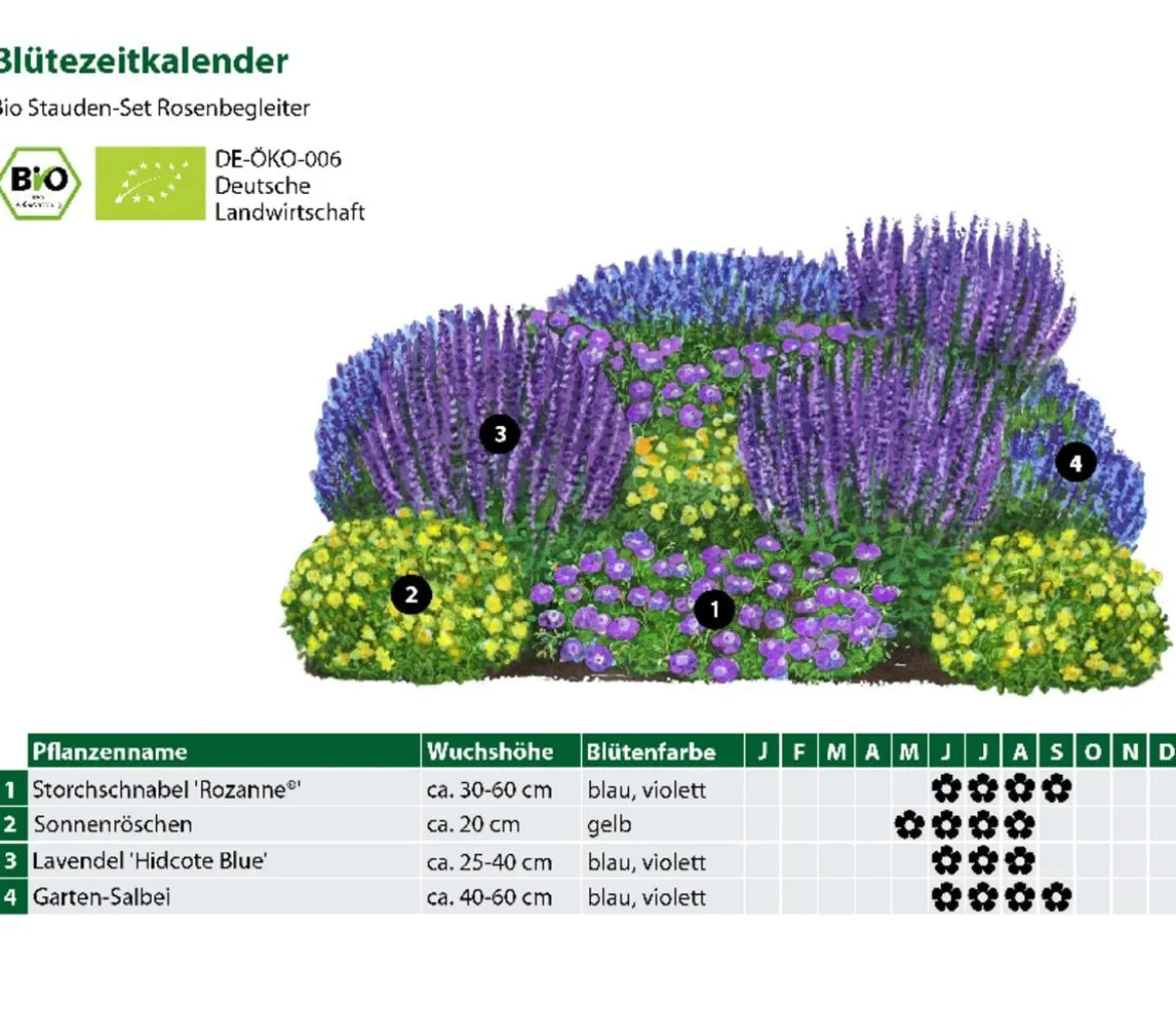 Bio Stauden-Set Rosenbegleiter, 12-teilig