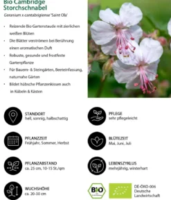 Bio Stauden-Set Rosenfreunde, Landlust Kollektion, 18-teilig