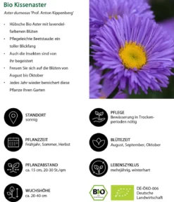 Bio Stauden-Set Rosenfreunde, Landlust Kollektion, 18-teilig
