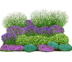 Bio Stauden-Set Rosenfreunde, Landlust Kollektion, 18-teilig