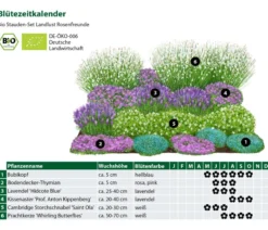 Bio Stauden-Set Rosenfreunde, Landlust Kollektion, 18-teilig