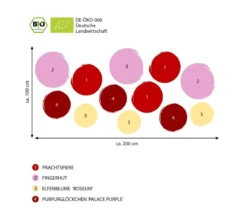 Bio Stauden-Set Schattengarten Rote Akzente, 12-teilig