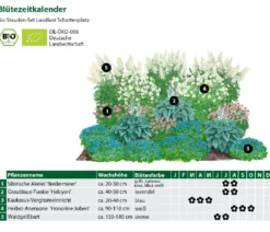 Bio Stauden-Set Schattenplatz, Landlust Kollektion, 18-teilig
